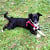 Libby82