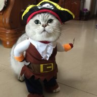 KattenKrok